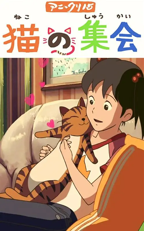 惩罚tk视频vk